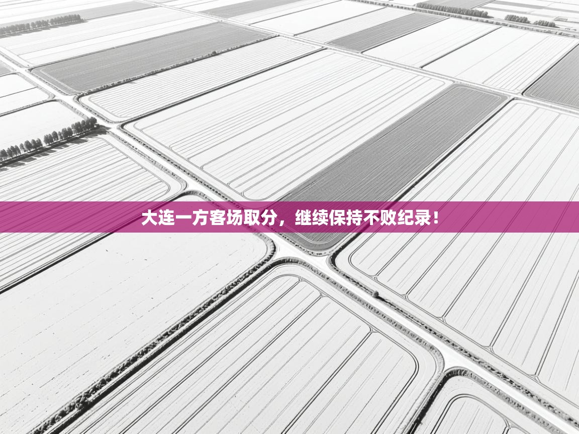 问鼎娱乐在线登录-大连一方客场取分，继续保持不败纪录！  第2张