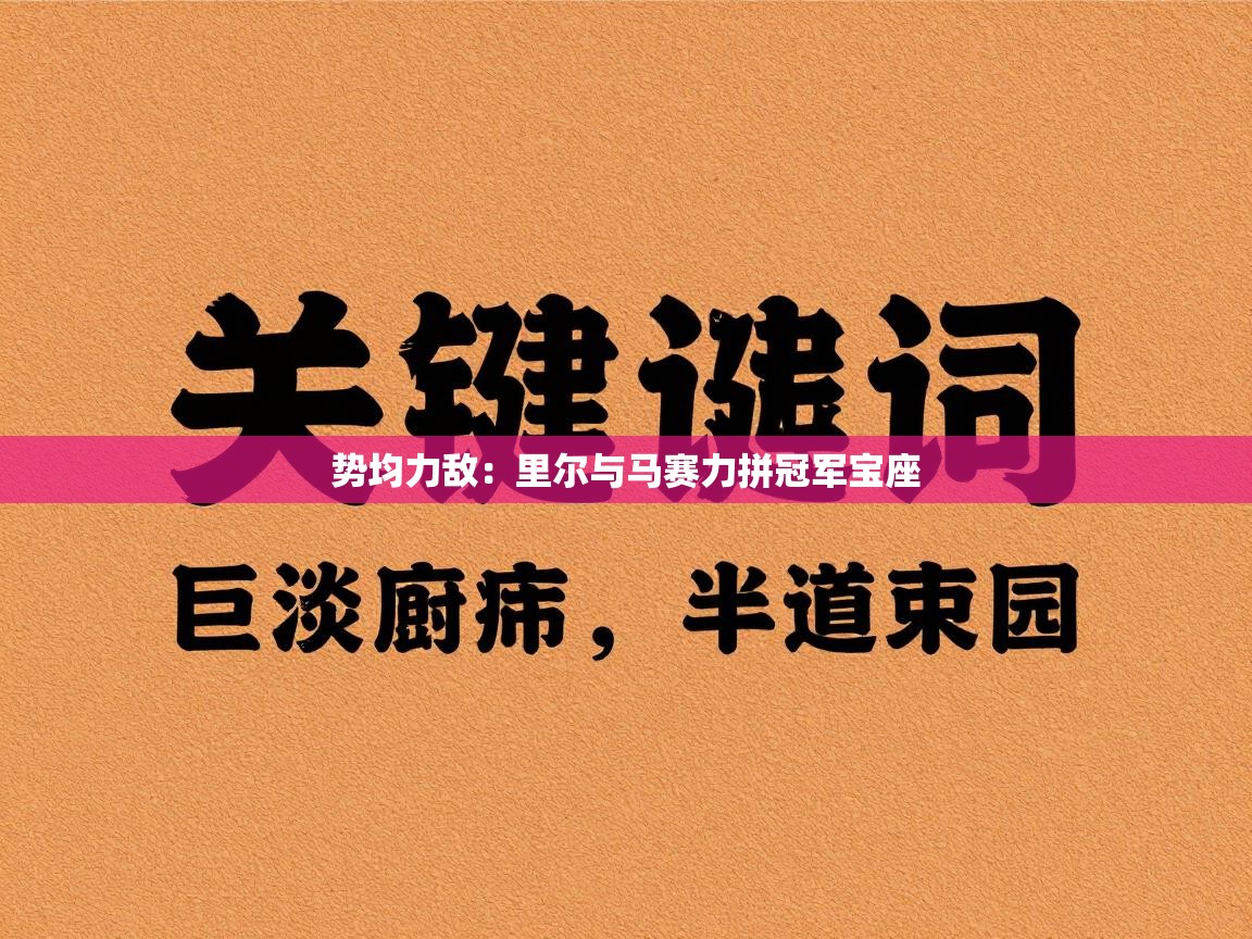 问鼎娱乐下载-势均力敌：里尔与马赛力拼冠军宝座  第2张